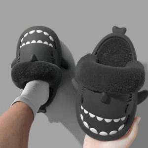 Winter Shark Slides