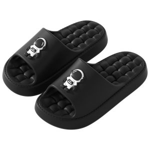 SpaceStep Slides